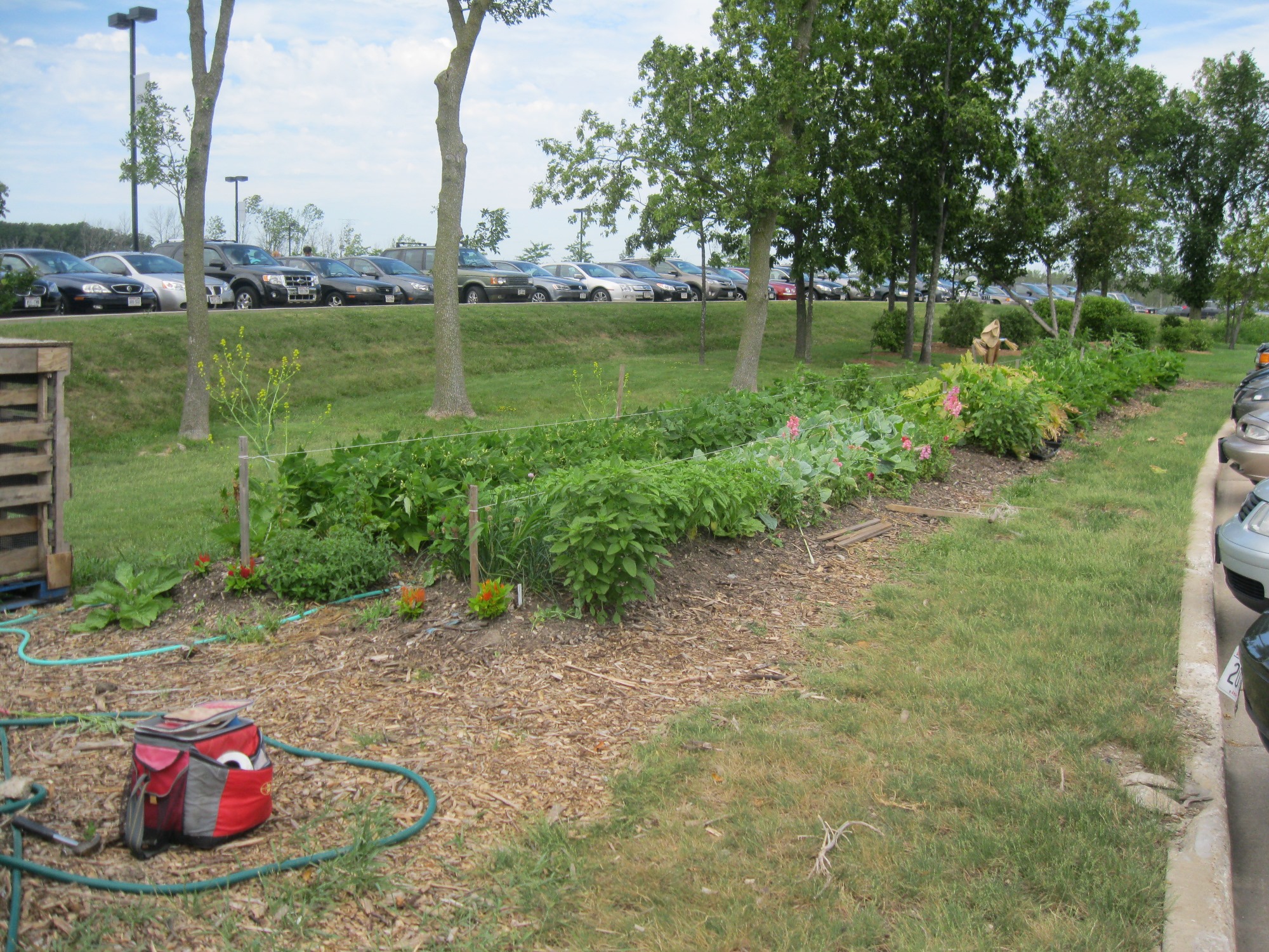 Kohl’s Garden