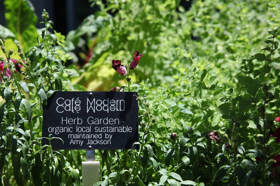 Café Modern Herb Garden