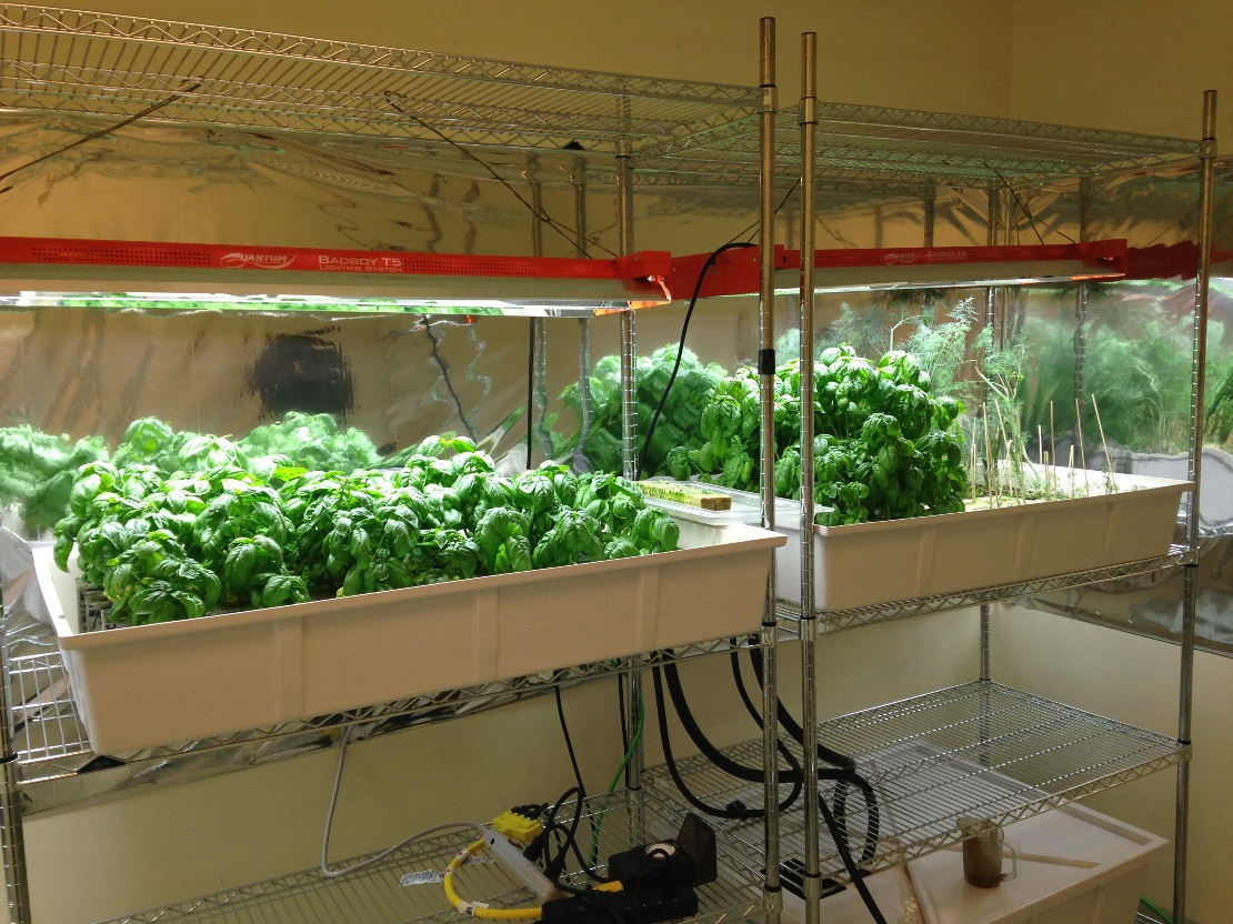 Oracle Hydroponic Herb Garden